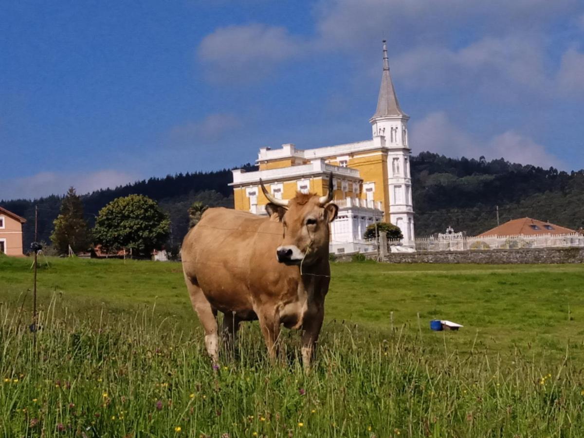 Hotel Rural Montesomao Somado エクステリア 写真